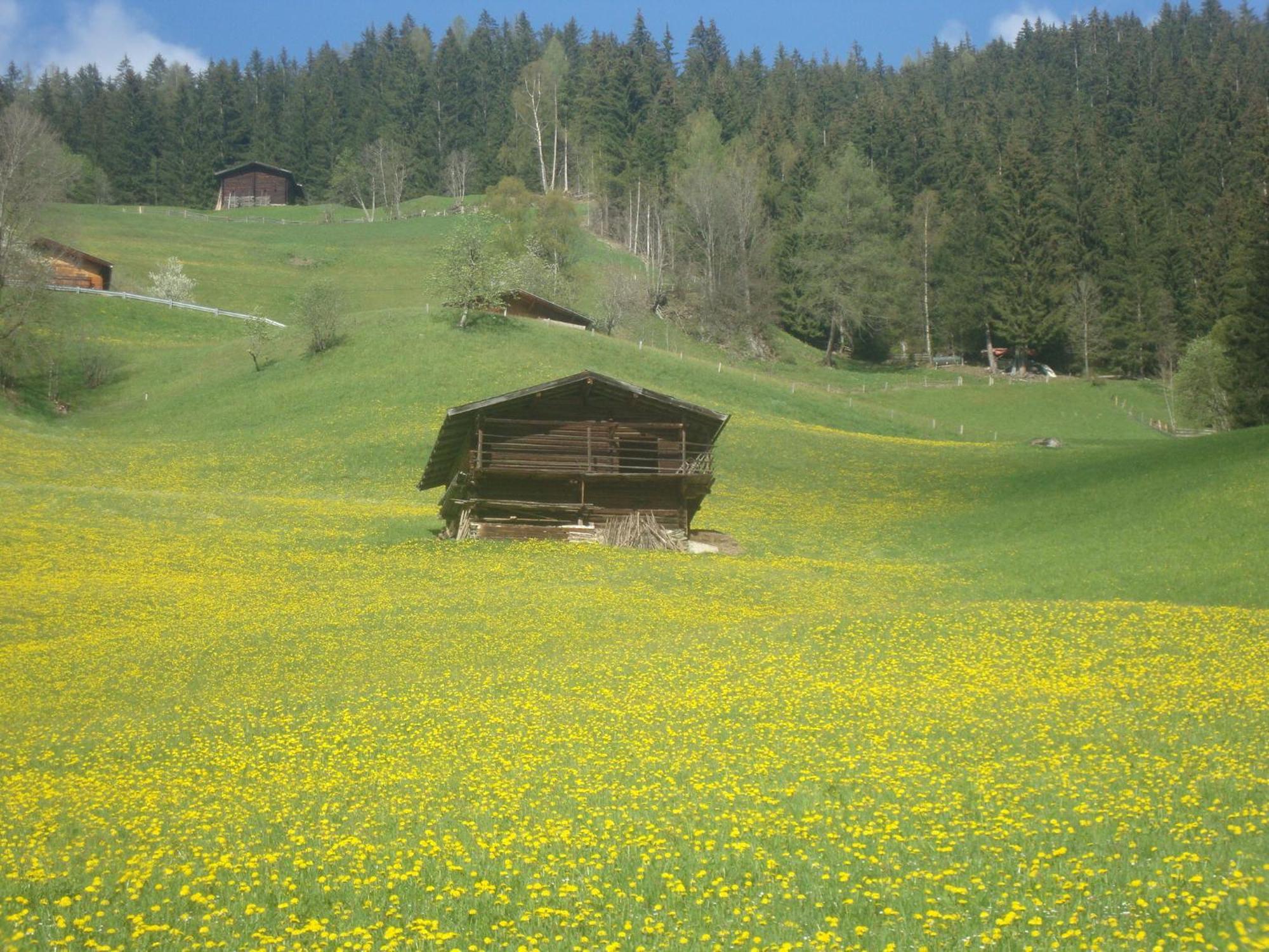 Apart Heim Фюген Экстерьер фото